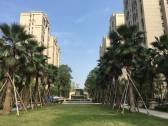 小区图