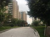 小区图