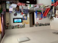 其它图