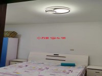 其它图