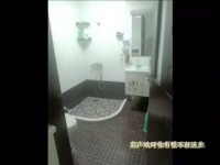 其它图