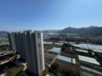 其它图