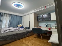 其它图