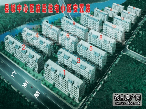 苍南外国语学区，苍南闹市区 府后小区